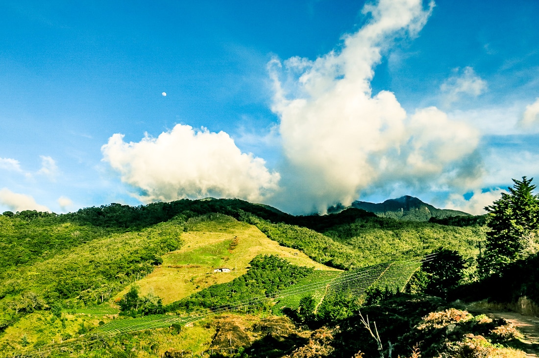 img-4335_orig