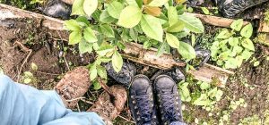 Expedición botánica en Urrao Antioquia (primera parte)